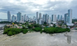 Vue aérienne de la mangrove de Costa del Este, à Panama, le 14 mars 2022