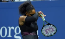 L'Américaine Serena Williams face à la TchÚque Karolina Pliskova en demi-finales de l'US Open, le 8 septembre 2016 à New York