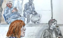 Dominique Pelicot, condamné à 20 ans de réclusion pour avoir drogué sa femme Gisèle afin de la violer et de la livrer à des dizaines d'inconnus à Mazan (Vaucluse), ne fera pas appel