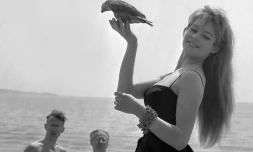 L'actrice Brigitte Bardot pose avec un perroquet lors du festival de Cannes, en mai 1956. Elle a été l'interprète de morceau du  compositeur Gérard Bourgeois auteur de centaines de chansons dont "La Madrague"