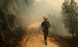 Des pompiers combattent un incendie de forêt près de San Martín de Valdeiglesias, à environ 70 km à l’ouest de Madrid, le 26 juillet 2026