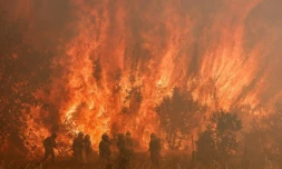 Incendie de forĂȘt Ă Pumarejo de Tera, prĂšs de Zamora (Espagne), le 18 juin 2022