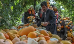 L'agriculteur kurde Azad Mohammad expose les produits de sa ferme près de Halabja, le 6 juillet 2022 en Irak