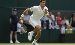 Le numéro 1 mondial Novak Djokovic (ici à Wimbledon le 27 juin 2016) tentera de rebondir aprÚs son élimination surprise au 3e tour du tournoi londonien