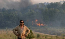 Incendie à Saint-Cannat, dans les Bouches-du-Rhône, le 15 juillet 2017
