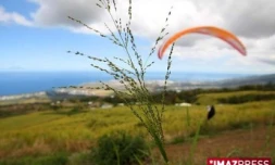 Vendredi 2 novembre 2007

3ème manche du trophée de La Route des Tamarins comptant pour le championnat du monde de parapente