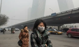 Une femme porte un masque pour se protéger de la pollution le 30 novembre 2015 à Pékin