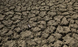 Il est "urgent" d'agir face au réchauffement climatique, qui est une catastrophe "de plus grande ampleur" que le Covid-19 et contre lequel il n'y a en plus pas de vaccin, a alerté la Croix-Rouge