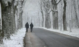Des promeneurs sur une route au milieu d'une forĂȘt enneigĂ©e, le 1er avril 2022 Ă Arras, dans le Pas-de-Calais