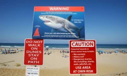 Un panneau met en garde les baigneurs contre les requins sur une plage de Cape Cod, dans l'Etat américain du Massachusetts, le 13 juillet 2019