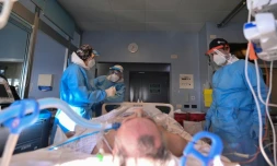 Des soignants s'occupent d'un patient atteint du Covid-19 dans l'hôpital de Crémone, en Italie, le 11 janvier 2022