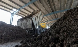 Un camion décharge du fumier collecté auprès d'agriculteurs pour alimenter une centrale biomasse, le 4 mars 2022 à Indore, en Inde