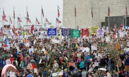 Des manifestants sur le National Mall, à Washington, le 5 avril 2025