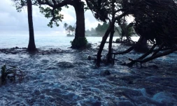 Inondations sur l'atoll de Majuro, aux îles Marshall, dans l'océan Pacifique le 3 mars 2014