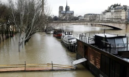 La Seine en crue Ă Paris, le 22 janvier 2018