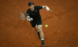 Andy Murray, Ă  Madrid, le 3 mai 2016