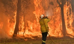 Un pompier effectue des brûlis préventifs pour protéger des zones d'habitation, le 10 décembre 2019 au nord de Sydney