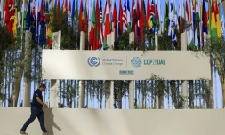 Les drapeaux des pays participants Ă la COP28, le 30 novembre 2023 Ă DubaĂŻ