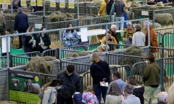 Des visiteurs au Salon de l'agriculture à Paris le 26 février 2026