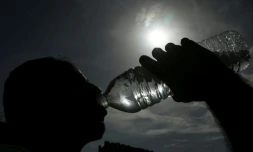 Vingt-six départements sont placés en vigilance orange canicule en France