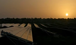 Le Parc solaire de Bhadla, dans l'Etat indien du Rajasthan, le 7 octobre 2021