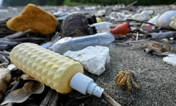 Un bernard-l'ermite marche sur une plage pleine de pollution plastique sur l'île de Gorgonilla, à côté de La Gorgone, dans l'océan Pacifique au large de la côte sud-ouest de la Colombie, le 1er décembre 2021