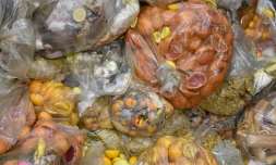 Des déchets alimentaires dans une usine de transformation en compost et biogaz, le 19 novembre 2021 à Stains, au nord de Paris