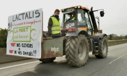Lors d'une manifestation d'éleveurs prÚs de Rennes contre le groupe Lactalis, le 17 février 2016