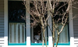 A Washington le 6 avril 2020