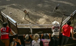 Une participante à une compétition de rodéo organisée dans la province philippine de Masbate, le 13 avril 2026