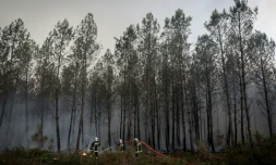 Des pompiers luttent contre un incendie de forêt à Saint-Jean-d'Illac, à environ 30 km de Bordeaux, alors qu'un feu de forêt ravage la forêt au nord du bassin d'Arcachon en Gironde