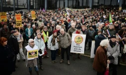 Manifestation contre le projet de l'aéroport de Notre-Dame-des-Landes, le 13 janvier 2016 à Nantes