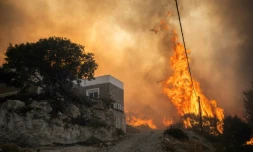 Un incendie de forĂȘt proche du village de Gennadi, sur l'Ăźle de Rhodes, le 25 juillet 2023 en GrĂšce