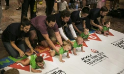 "Course des bébés", le 14 juillet 2017 à New York