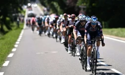 Le peloton dans la 19e étape du Tour de France entre Mourenx et Libourne le 16 juillet 2021