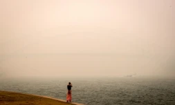 La baie de Sydney recouverte d'un épais nuage provoqué par les fumées des feux de forêt.