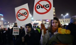 Des Roumains manifestent le 3 février 2017 devant le siège du gouvernement à Bucarest la tentative du gouvernement social-démocrate d'assouplir la législation anticorruption