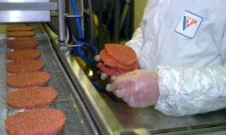 E-coli: rappel de steaks hachés commercialisés chez Leclerc, Auchan, Intermarché et Super U