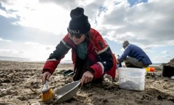 Des bénévoles nettoient la plage à la recherche de microplastiques, le 26 février 2023 à Tregantle, dans la baie de Whitesand, au sud-ouest de l'Angleterre