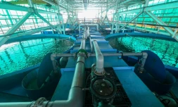 Des bassins de la ferme piscicole Eco Ark du Centre d'excellence en aquaculture (ACE), le 6 décembre 2023 à Singapour