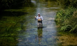 Bob Wellard, directeur de la Piscatorial Society, pĂȘche Ă la mouche le 25 aoĂ»t 2026 dans la riviĂšre Itchen, en Angleterre