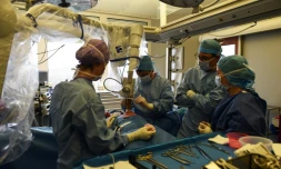 Des chirurgiens-oncologistes interviennent sur un patient dans un service de l'institut Paoli-Calmettes, Ă Marseille, le 2 novembre 2017