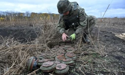 Un démineur de la police ukrainienne inspecte une mine trouvée dans un champ à Izioum, dans la région de Kharkiv, le 24 octobre 2023