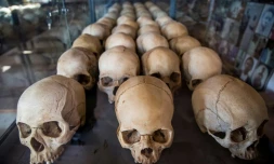 Des crùnes de victimes du génocide au Rwanda exposés au mémorial de Ntarama, à Kigali, en avril 2019