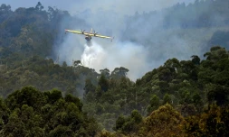 Un avion combat un incendie près du village de Vilaboa, dans le nord-ouest de l'Espagne le 22 août 2025.
