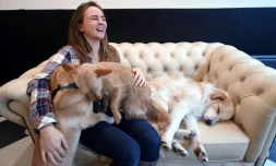 Ophélie Poillon avec trois des neuf chiens qu'abrite "le Waf", son bar à chiens lillois, le 9 décembre 2016