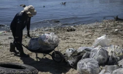 Un homme pousse une brouette pleine de déchets ramassés sur une plage de l'île de Pombeba, dans la baie de Guanabara, le 17 février 2025 à Rio de Janeiro, au Brésil