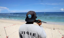 Un membre de la "vigie" requin à Saint-Gilles-les-Bains, à la Réunion, le 23 février 2019