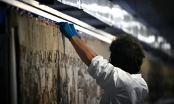 Début du transfert historique de la tapisserie de Bayeux vers Londres
