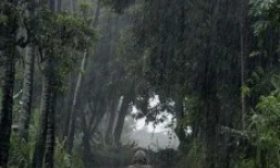 Mercredi 30 janvier 2008 -

De fortes pluies continuent de s'abattre sur La Réunion